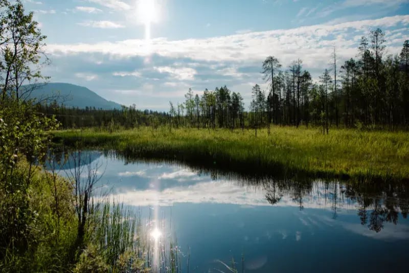 Tunturimaisema