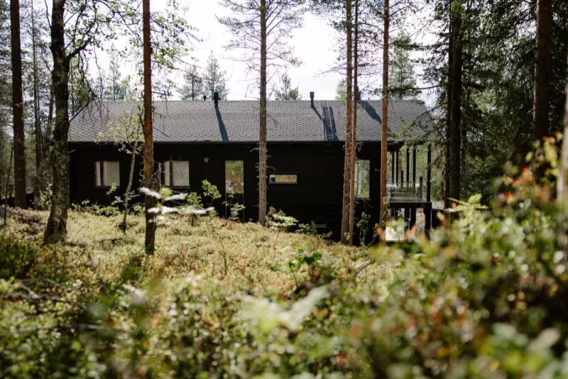 metsämökki