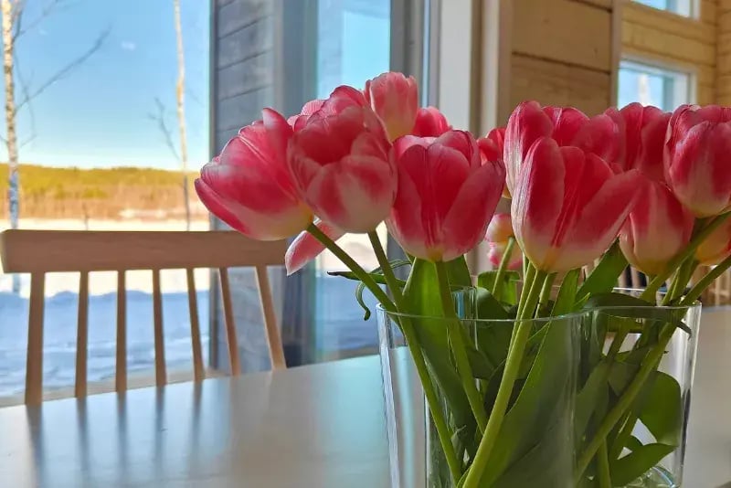 Rovaniemi-näyttelytalo-3